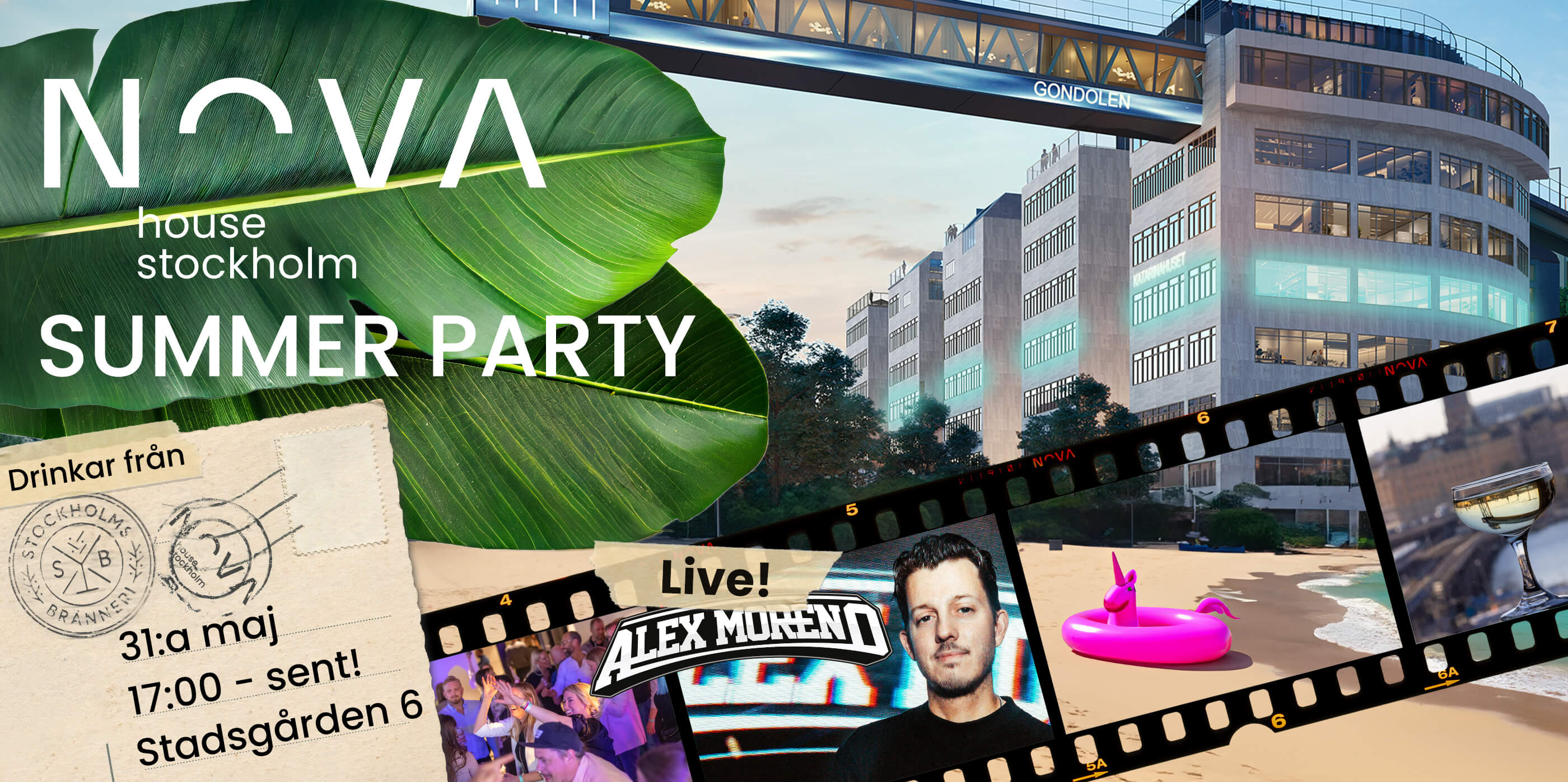 Summer Party Header